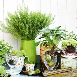 Boston Coloured Water Glass 35 cl, Red