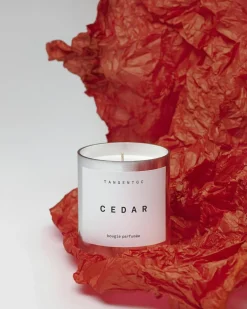 Bougie Parfumée Scented Candle Cedar
