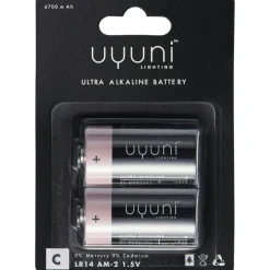 C Battery 1.5V 6700mAh, 2-pack