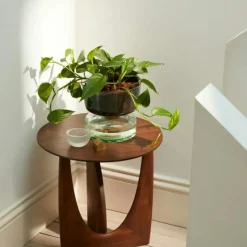 Canopy Self Watering Planter, 13 cm