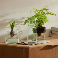 Canopy Self Watering Planter, 13 cm