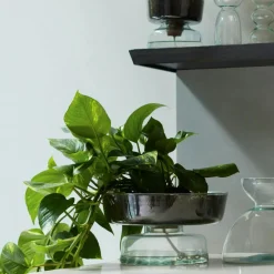 Canopy Self Watering Planter, 13 cm