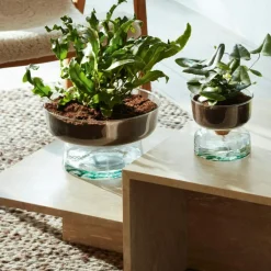 Canopy Self Watering Planter, 13 cm