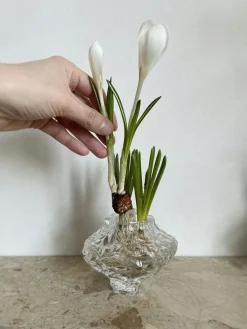 Canyon Mini Vase 8 cm, Clear