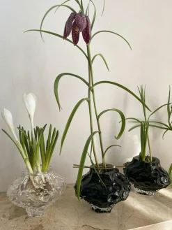 Canyon Mini Vase 8 cm, Clear