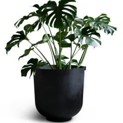 Castle Planter Medium, Raw