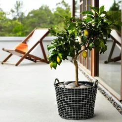 Classic 65 Basket, Acid-Proof Stainless Steel