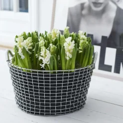 Classic 50 Basket, Galvanized