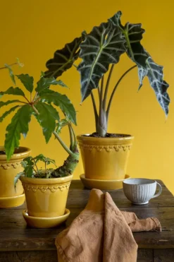 Copenhagen Pot With Saucer 16 cm, Amber Yellow