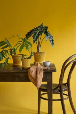 Copenhagen Pot With Saucer 16 cm, Amber Yellow