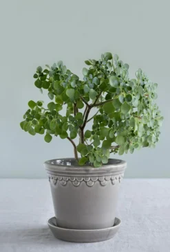 Copenhagen Pot With Saucer 16 cm, Amber Yellow