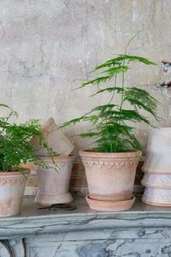 Copenhagen Pot With Saucer 16 cm, Amber Yellow