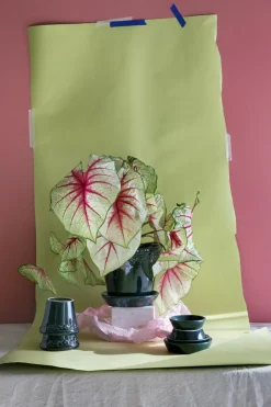 Copenhagen Pot With Saucer 16 cm, Amber Yellow