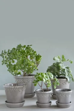 Copenhagen Pot With Saucer 16 cm, Amber Yellow