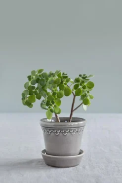 Copenhagen Pot With Saucer 16 cm, Amber Yellow