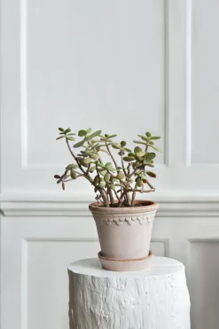 Copenhagen Pot With Saucer 16 cm, Amber Yellow