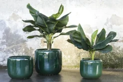 Costa Pot M D21 H21, Grey