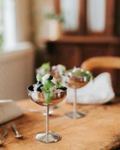 Dyane Ice Cream Goblet Stainless Steel 4-pack, 14 cm