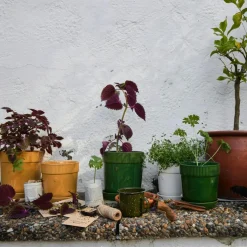 Elise Pot 13 cm, Green