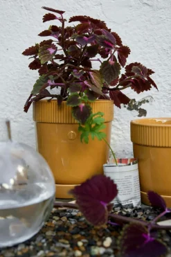 Elise Pot 19 cm, Green