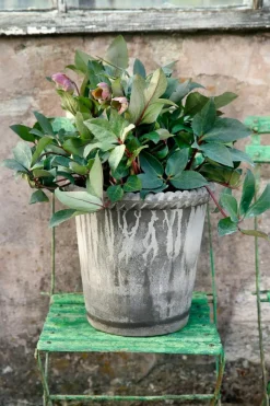 Emilia Pot Grey Ø16 cm