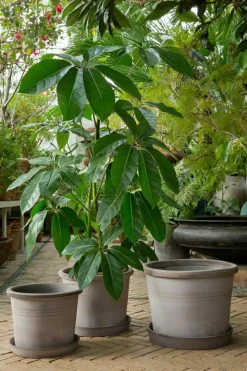 Galestro Pot With Saucer Grey Ø30 cm