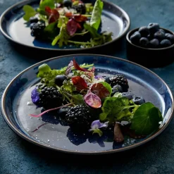 Gastro Plate Ø21 cm, Black/Green