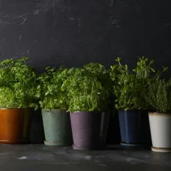 Gastro Pot With Saucer Ø14 cm, Black/Green