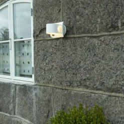 Gekko Wall Outdoor Lighting, Graphite