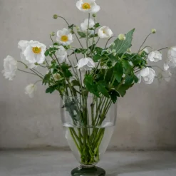 Glass Vase, Clear