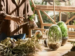 Grow Greenhouse XL, Clear