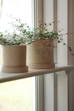 Grow structure Pot With Saucer 30 cm, Creme