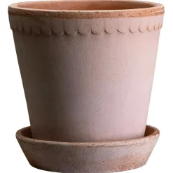 Helena Pot Rose, 25 cm