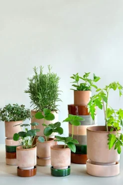 Hoff Flower Pot With Saucer Pink/Green Ø 14 cm