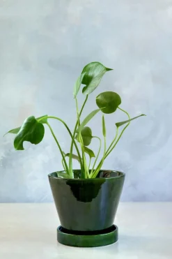 Julie Pot With Saucer Emerald Green, 17 cm