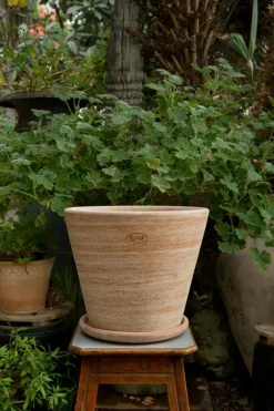 Julie Pot With Saucer Pink Ø40 cm