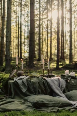 Lovely Napkins Linen 4-pack, Avocado