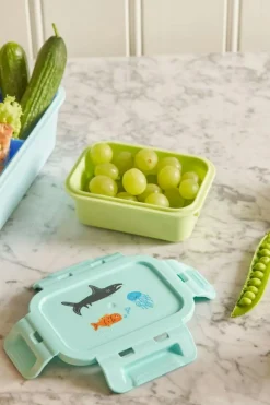 Lunch Box With Airtight Lid, Pink Wildlife