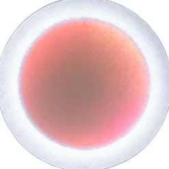 MoodMoon Wall/Ceiling Lamp 85 cm, Red