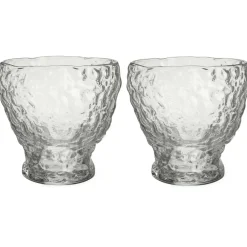 Moss Tumbler 33 cl 2-pack, Clear