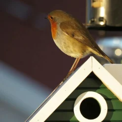Multiholk Bird Feeder / Birdhouse, Sjöboden