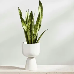 Nappula Pot 23x15 cm, Beige