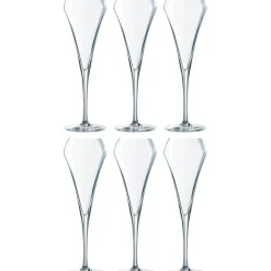 Open Up Champagne Glass 20 cl, 6-pack