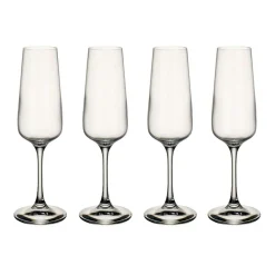 Ovid Champagne Glass 25 cl Set Of 4