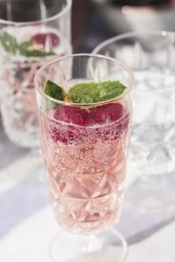 Picknick Glass High With Foot Acrylic 4-pack, Clear