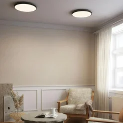 Plafon 20 Wall/Ceiling Lamp, Black / Brass