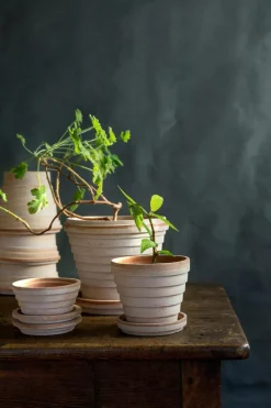 Planet Pot With Saucer Pink Ø25 cm