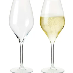 Premium Champagne Glass 37 cl, 2-pack