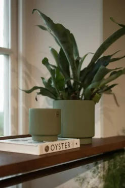 Solid Pot 10 cm, Green