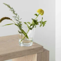 Squeeze Tulip Vase 18 cm, Clear